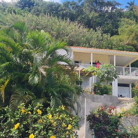 סנט-מארי Villa Zephyr Domaine Roses Des Vents מראה חיצוני תמונה